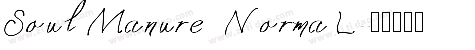 SoulManure NormaL字体转换